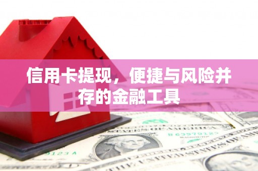 宝兴信用卡提现，便捷与风险并存的金融工具