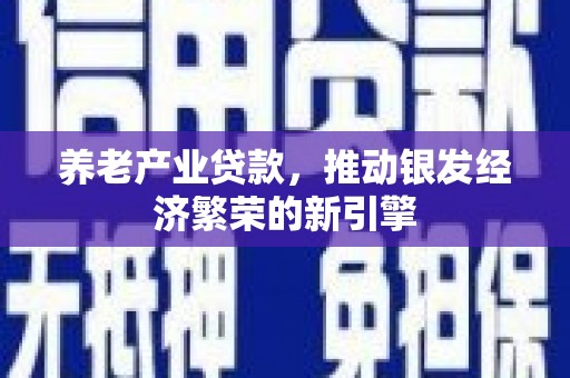 宝兴养老产业贷款，推动银发经济繁荣的新引擎