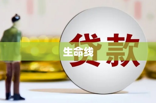 宝兴生命线