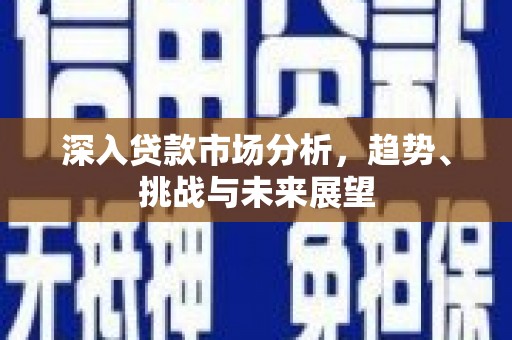 宝兴深入贷款市场分析，趋势、挑战与未来展望