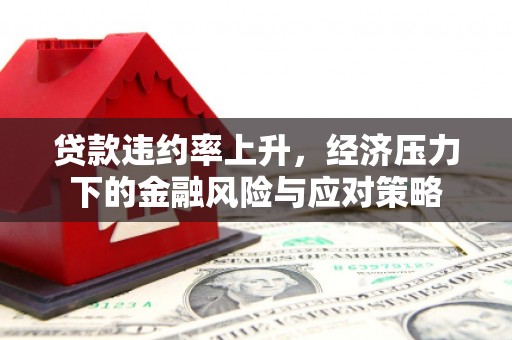宝兴贷款违约率上升，经济压力下的金融风险与应对策略