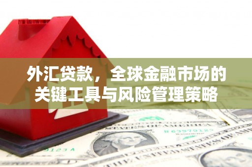 宝兴外汇贷款，全球金融市场的关键工具与风险管理策略