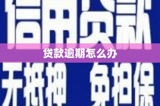 宝兴贷款逾期怎么办