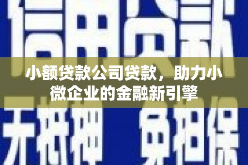 宝兴小额贷款公司贷款，助力小微企业的金融新引擎