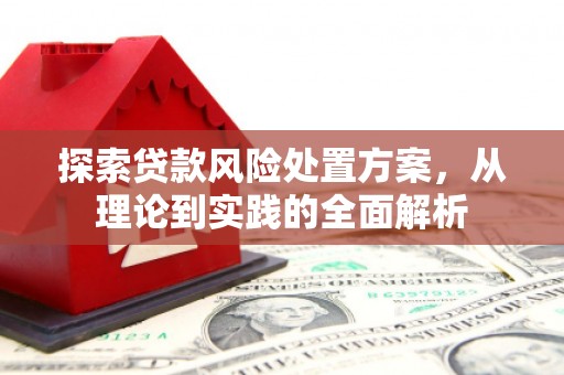 宝兴探索贷款风险处置方案，从理论到实践的全面解析