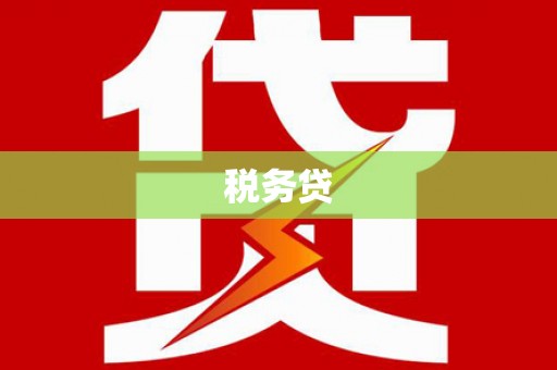 宝兴税务贷