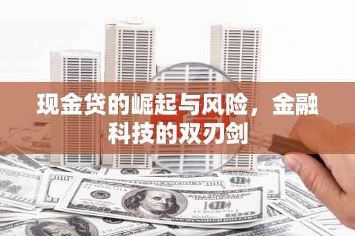 宝兴现金贷的崛起与风险，金融科技的双刃剑