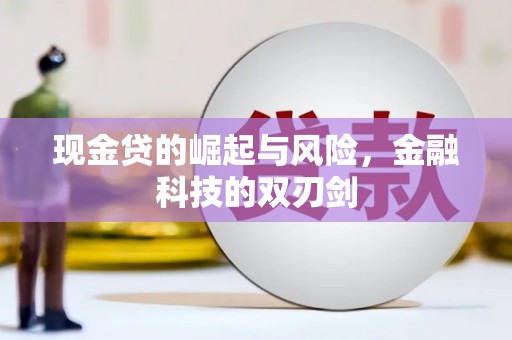 宝兴现金贷的崛起与风险，金融科技的双刃剑