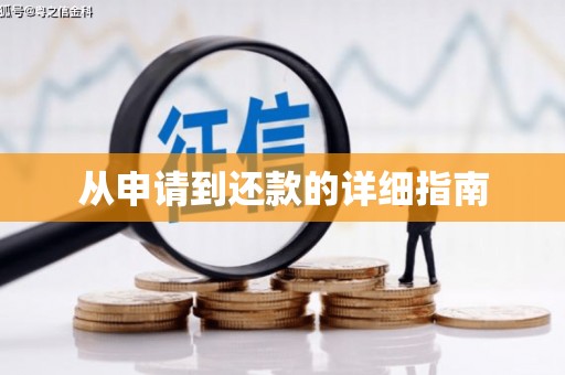 宝兴从申请到还款的详细指南