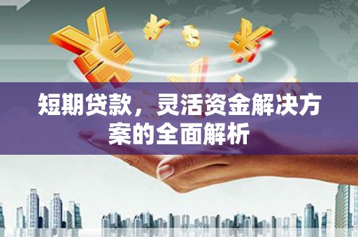 宝兴短期贷款，灵活资金解决方案的全面解析
