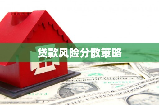 宝兴贷款风险分散策略