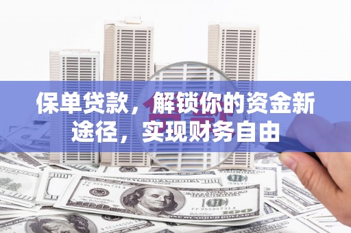 宝兴保单贷款，解锁你的资金新途径，实现财务自由