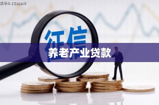 宝兴养老产业贷款