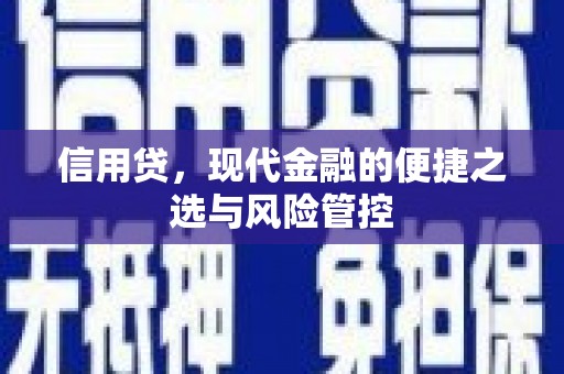 宝兴信用贷，现代金融的便捷之选与风险管控