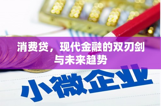 宝兴消费贷，现代金融的双刃剑与未来趋势