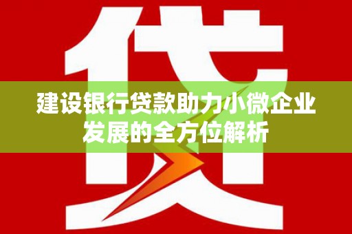 宝兴建设银行贷款助力小微企业发展的全方位解析