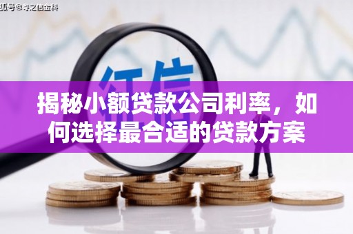 宝兴揭秘小额贷款公司利率，如何选择最合适的贷款方案
