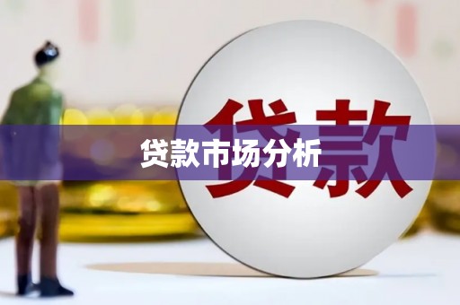 宝兴贷款市场分析