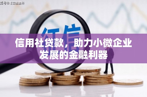 宝兴信用社贷款，助力小微企业发展的金融利器