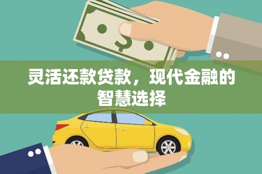 宝兴灵活还款贷款，现代金融的智慧选择