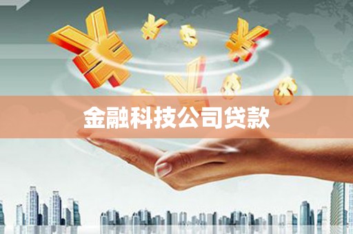 宝兴金融科技公司贷款