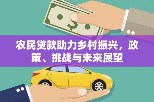 宝兴农民贷款助力乡村振兴，政策、挑战与未来展望