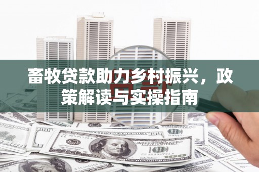 宝兴畜牧贷款助力乡村振兴，政策解读与实操指南