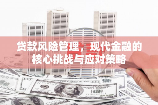 宝兴贷款风险管理，现代金融的核心挑战与应对策略