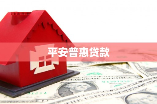 宝兴平安普惠贷款