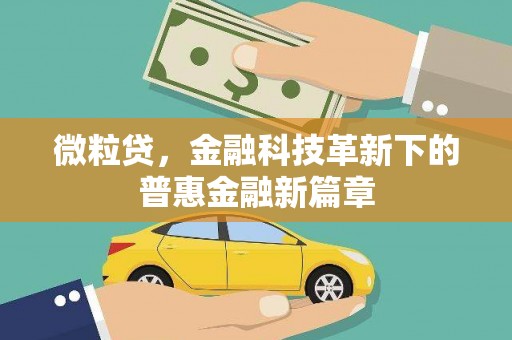 宝兴微粒贷，金融科技革新下的普惠金融新篇章