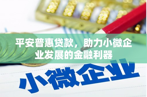 宝兴平安普惠贷款，助力小微企业发展的金融利器
