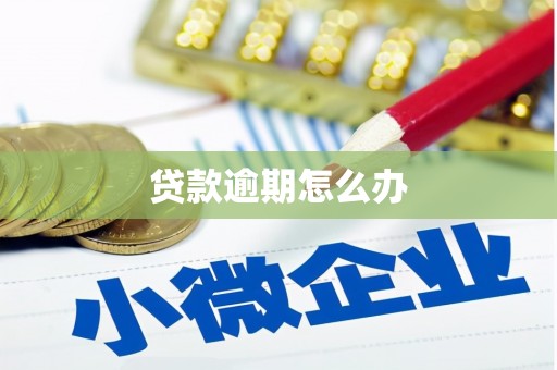 宝兴贷款逾期怎么办