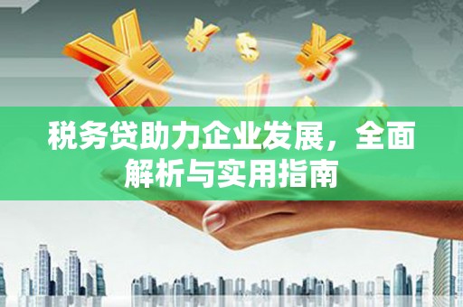 宝兴税务贷助力企业发展，全面解析与实用指南