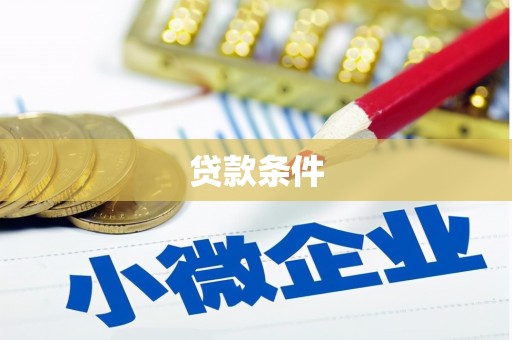 宝兴贷款条件