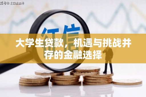 宝兴大学生贷款，机遇与挑战并存的金融选择
