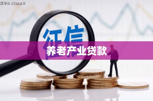 宝兴养老产业贷款
