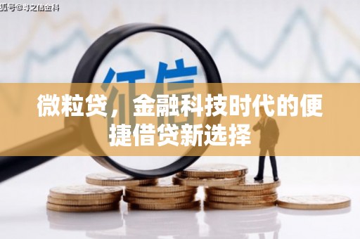 宝兴微粒贷，金融科技时代的便捷借贷新选择