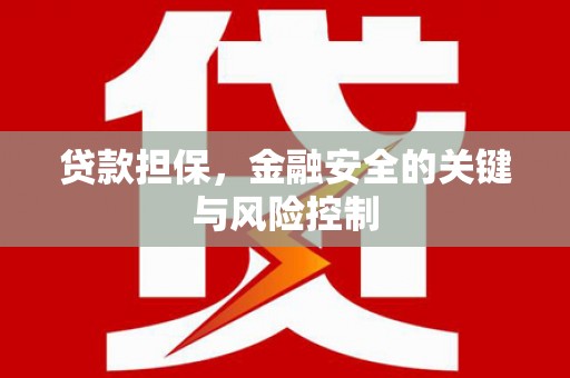 宝兴贷款担保，金融安全的关键与风险控制