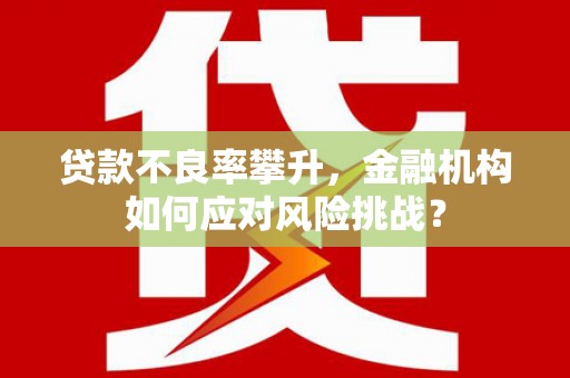 宝兴贷款不良率攀升，金融机构如何应对风险挑战？