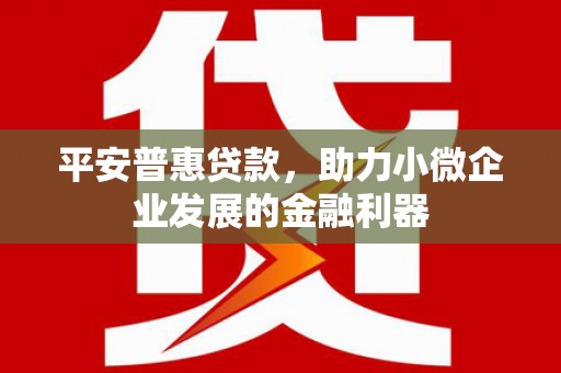 宝兴平安普惠贷款，助力小微企业发展的金融利器