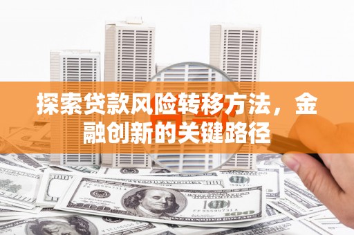 宝兴探索贷款风险转移方法，金融创新的关键路径
