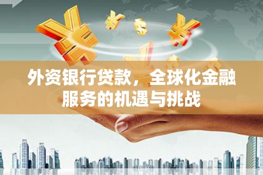 宝兴外资银行贷款，全球化金融服务的机遇与挑战
