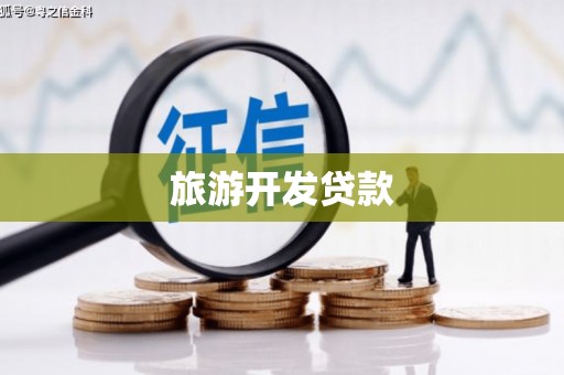 宝兴旅游开发贷款