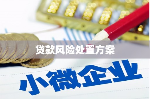 宝兴贷款风险处置方案
