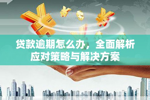 宝兴贷款逾期怎么办，全面解析应对策略与解决方案