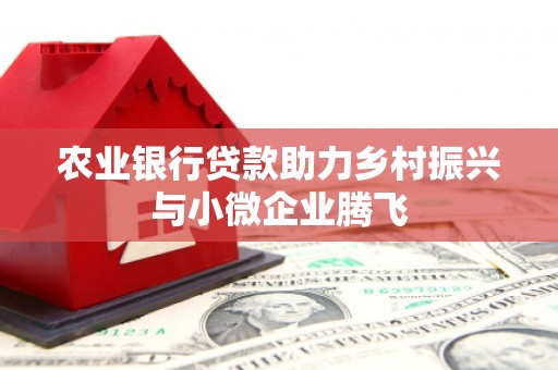 宝兴农业银行贷款助力乡村振兴与小微企业腾飞