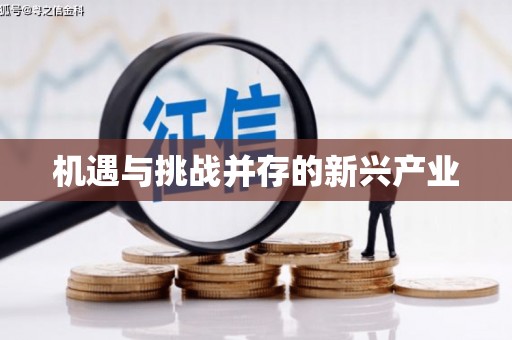 宝兴机遇与挑战并存的新兴产业