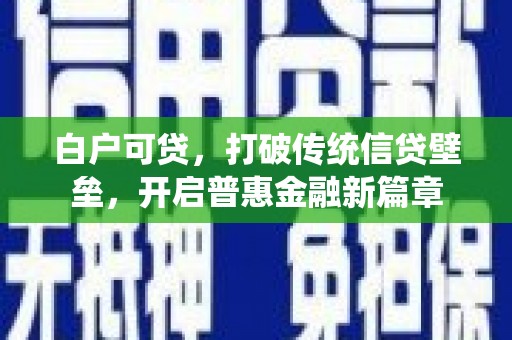 宝兴白户可贷，打破传统信贷壁垒，开启普惠金融新篇章