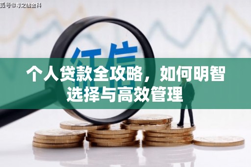 宝兴个人贷款全攻略，如何明智选择与高效管理