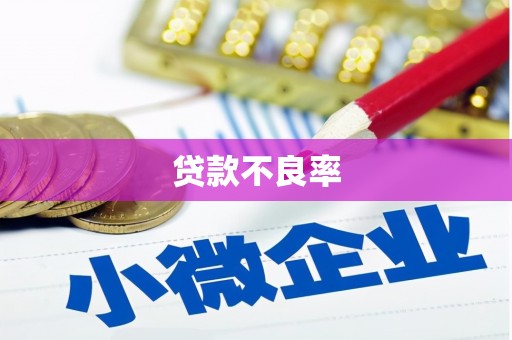 宝兴贷款不良率